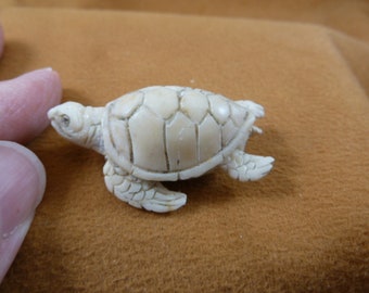 Figura de nuez de tagua de tortuga marina blanca pequeña Exhibición de tallado detallado de Bali amor tortugas nadadores del océano tb-turt-28
