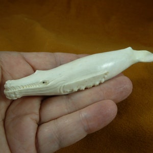 little Humpback Whale of shed ANTLER figurine Bali detailed carving of shed Moose antler love humpbacks whales Whale-w60