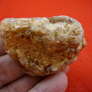 40 g Rare Kauri tree Gum nugget make your own jewelry young copal Amber New Zealand Tane Mahuta K-3147