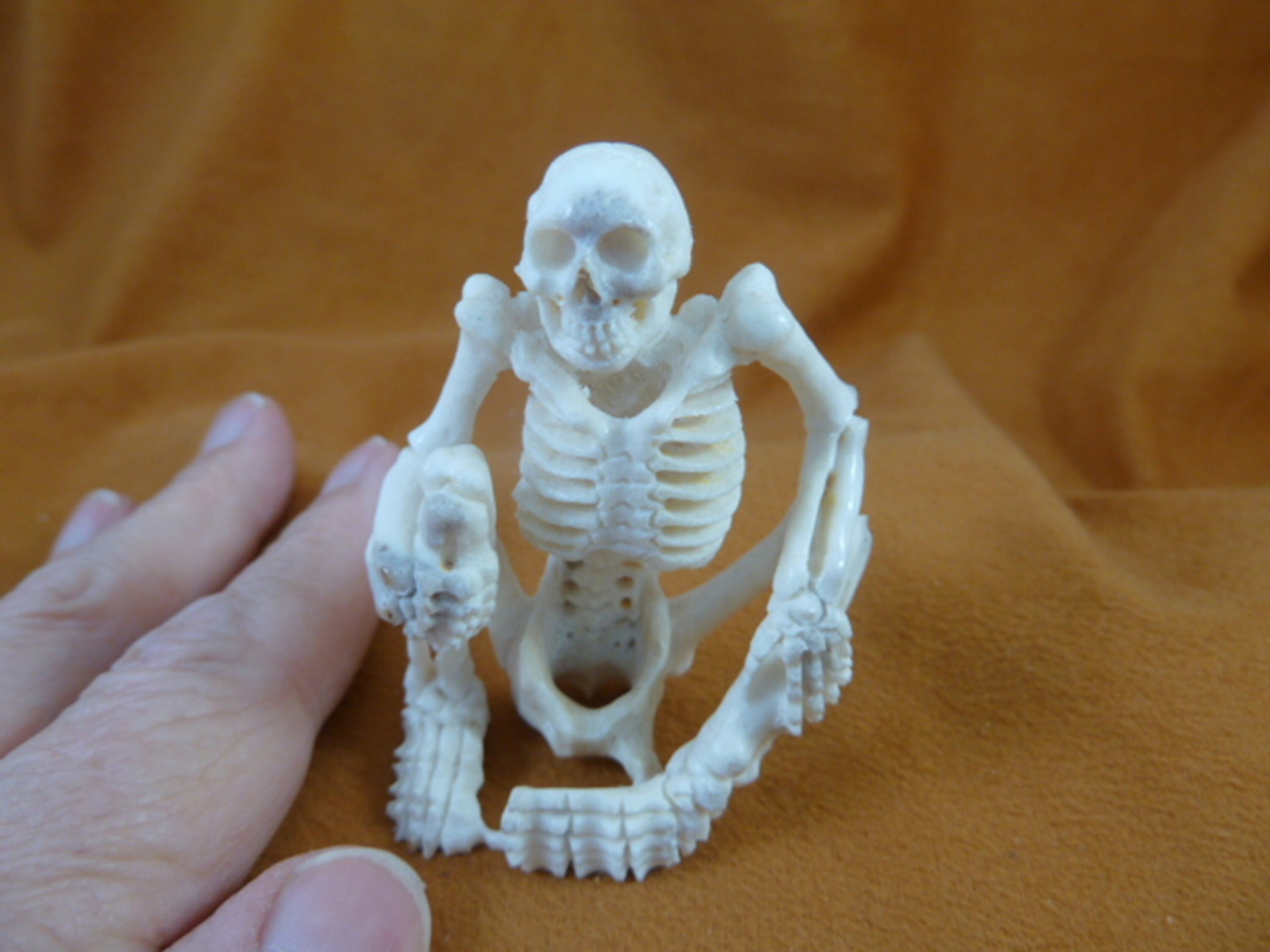 White Human Skull Cranium Sitting Skeleton Figurine Bali Detailed