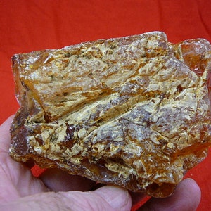 May include: A large, irregularly shaped piece of amber with a translucent, honey-colored appearance. The amber has a rough, textured surface with visible inclusions.
