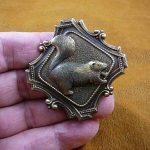 May include: A bronze-colored pin with a detailed design of a squirrel with its tail curled up. The squirrel is set against a textured background with a decorative border.