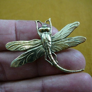 Dragonfly insect flying pond bug lover Victorian BRASS pin pendant brooch B-DRAG-150