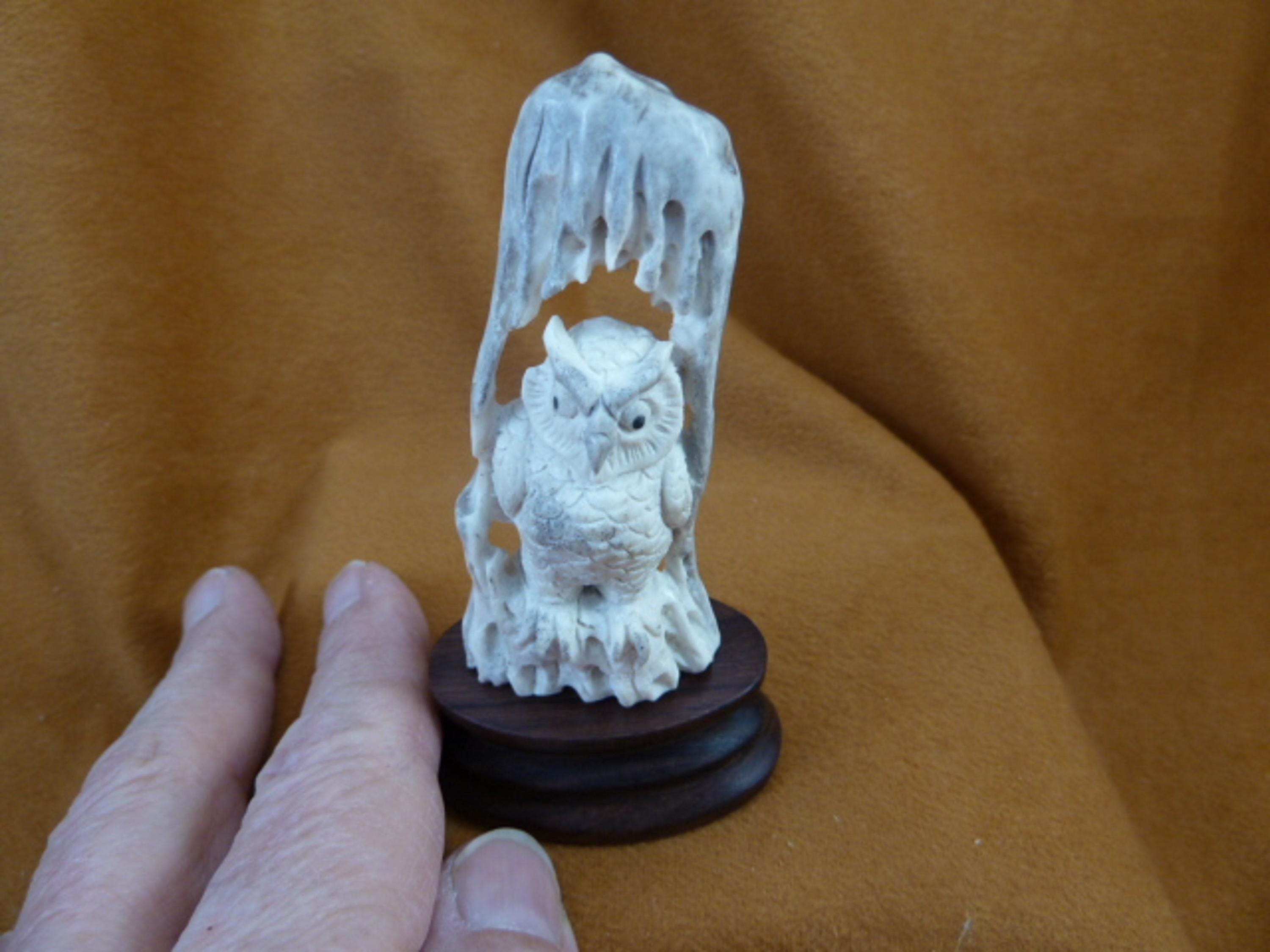 little small white Horned Owl of shed ANTLER crown base figurine Bali detailed carving of shed Moose