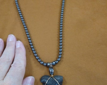 2-1/8 inch Fossil extinct Mako shark tooth teeth necklace hematite beads gold wired S694-7