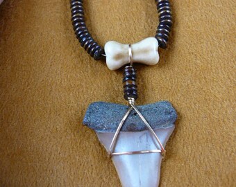 1-9/16 inch Fossil Mako shark tooth teeth gold wired on 19" brown cow bone bead necklace S689-1