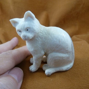 Könnte beinhalten: Eine kleine, weiße, geschnitzte Elfenbeinfigur eines sitzenden Katers mit gesenktem Kopf. Die Katze hat ein detailliertes Gesicht mit kleinen, schwarzen Augen.