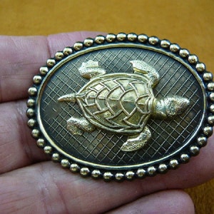 Sea turtle lover turtles love ocean turtles oval dot textured trim design Victorian repro brass pin pendant B-Turt-353