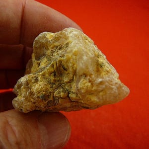 May include: A rough, irregularly shaped rock with a mix of yellow and tan hues. The surface has a textured appearance, with visible crystalline structures and a slightly translucent area. The rock is held against a red background.