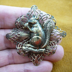 May include: A gold-toned metal brooch featuring a detailed squirrel design with a filigree background. The squirrel is holding a nut in its paws and has a bushy tail.