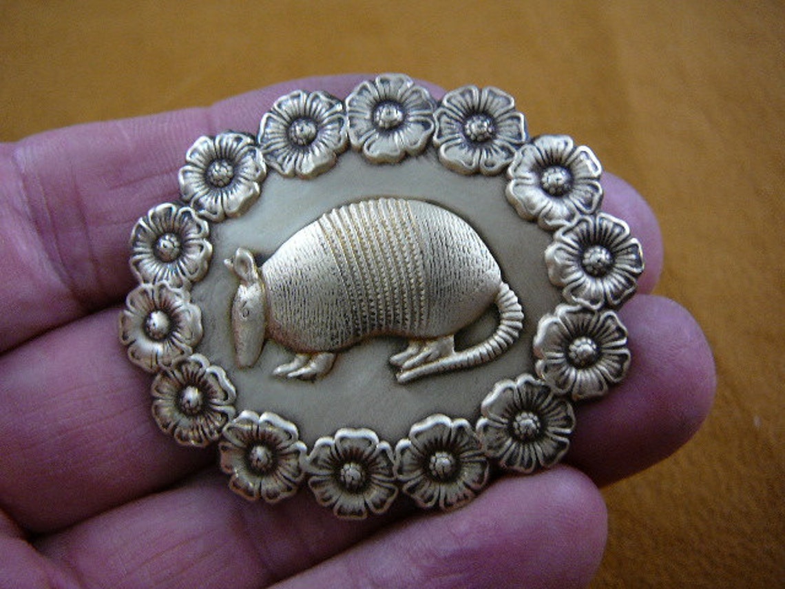 Armadillo Desert Dillo Oval Armadillos Daisy Flower Trimmed Etsy Canada