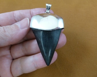 2-1/8 inch Fossil Mako shark tooth teeth sterling SILVER Cap capped pendant necklace S629-1