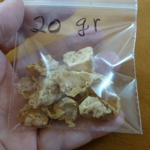 20 g Kauri tree Gum Metaphysical large chips copal Amber NZ Tane Mahuta incense New Zealand K-5308