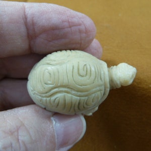 little white tortoise turtle tagua nut figurine Bali detailed carving display love turtles tortoises tb-turt-214