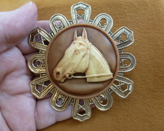 Horse race Stallion head mare brown tan and ivory filigree scrolled wreath style CAMEO Brooch Pin Pendant brass cl54-31