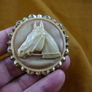 HORSE RACE Stallion head mare tan and ivory round CAMEO Brooch Pin Pendant brass cl54-2