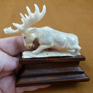 white Moose Elk bull running of shed Moose ANTLER figurine on wood base Bali detailed carving display Moose-29