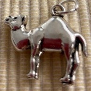 Pendant Camel One Hump Double Sided Necklace Stainless Steel Chain Ligfhtweight