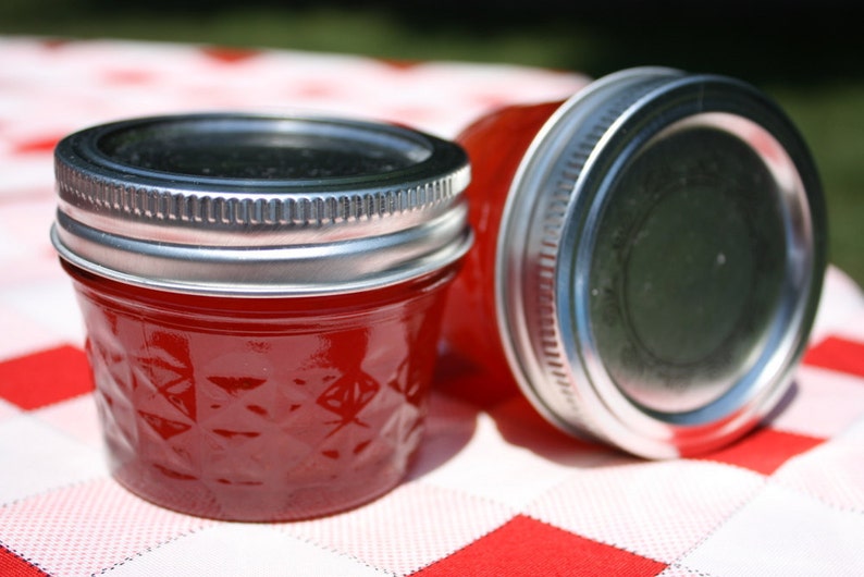 Jam Party Favor 6 4oz Sample Jars of Our Homemade Strawberry Etsy