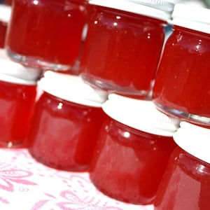 Wedding Jam Favors, 100 Little Bit of Heaven 1.5oz jars of strawberry pineapple jam wedding or party favors, homemade jam party favors image 1