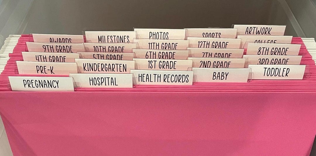 Memory Milestone Hanging File Folders for Kids Custom Box - Etsy