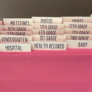 May include: A pink file organizer with labeled dividers. Labels include "Pregnancy," "Kindergarten," "Photos," and "Artwork." The file tabs are white with black text, and the organizer is filled with files.