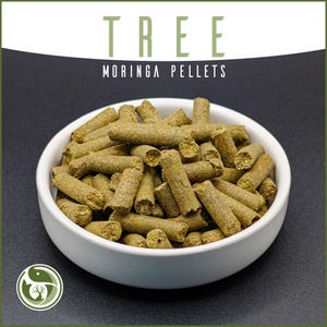 May include: A white bowl filled with green-brown moringa pellets. The cylindrical pellets are made of compressed plant material. The text "TREE MORINGA PELLETS" is displayed above the bowl. A green and white logo is in the lower left corner.