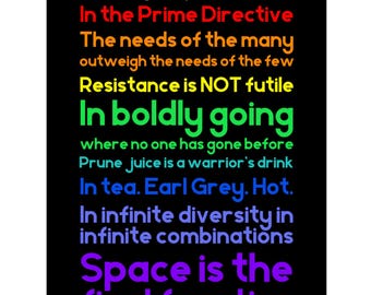 Trekkie Poster, Office Banner, Picard, TNG, We Believe, Next Generation, Trek Print