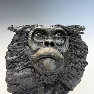 May include: A dark, textured sculpture of an ape's face, with detailed fur and expressive eyes. The sculpture is mounted on a black metal stand, showcasing the ape's features. The artwork is a unique piece of home decor.