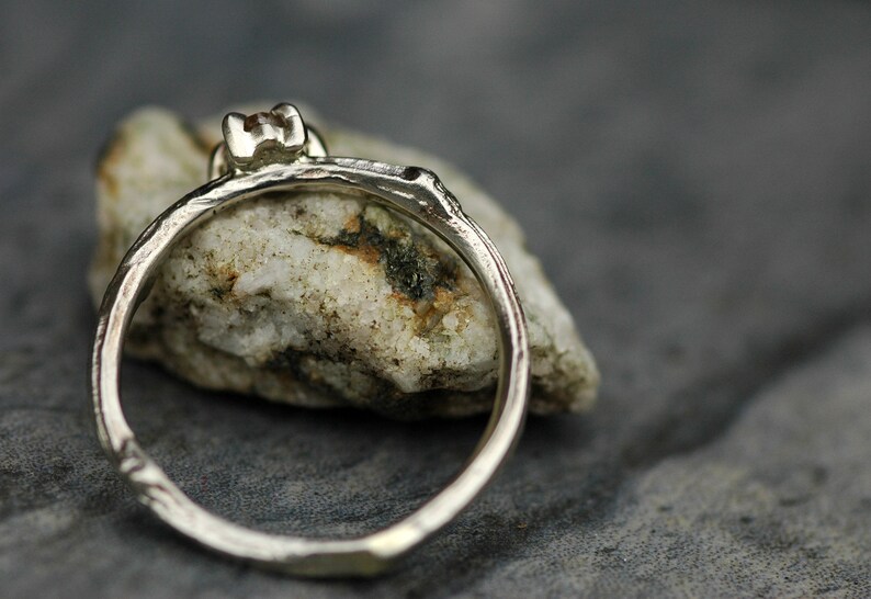 May include: A silver ring with a small, clear gemstone set in a branch-like band. The ring is resting on a piece of rough, white rock.