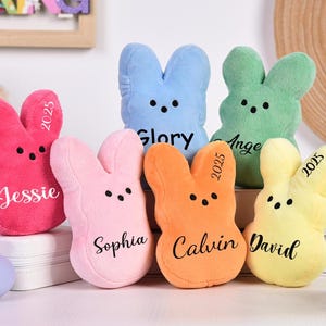 Personalisierte Peeps Bunnies, benutzerdefinierte Peeps Bunny, Ostern Peeps Bunny Plüschtier, Mini Peeps Plüschpuppe, Osterkorb, Baby Ostern, Plüschhase