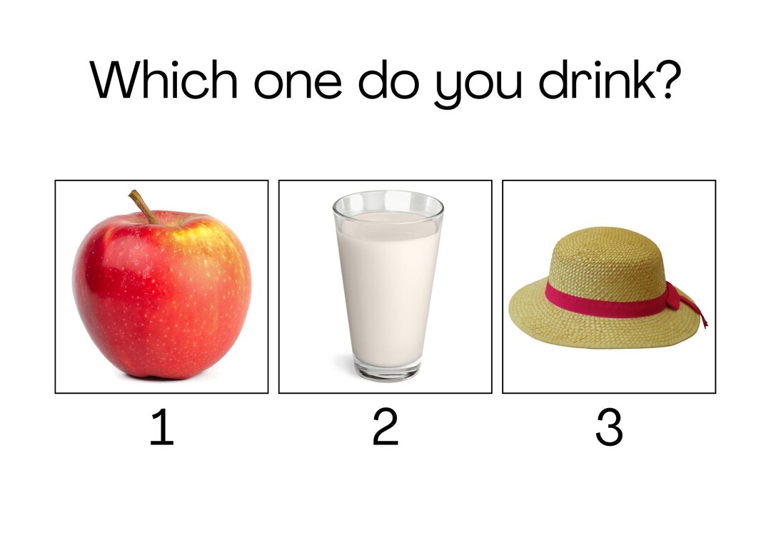 20 Which One Questions | Functions Task Cards | Speech Therapy | ABA ...