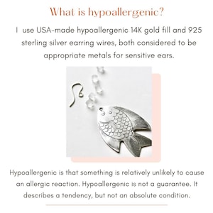 Explains what hypoallergenic means