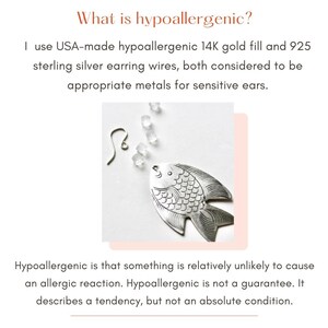 Explains what hypoallergenic means
