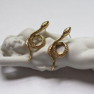 May include: A pair of gold snake earrings. The snakes are curled up with their heads facing forward. The earrings are on a white background.
