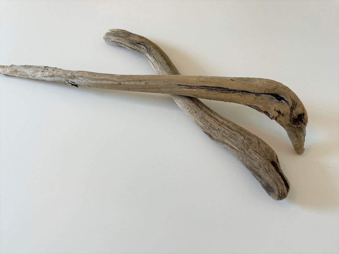 Lake Superior Freshwater Driftwood Pieces, 2 Pieces, Large Pieces