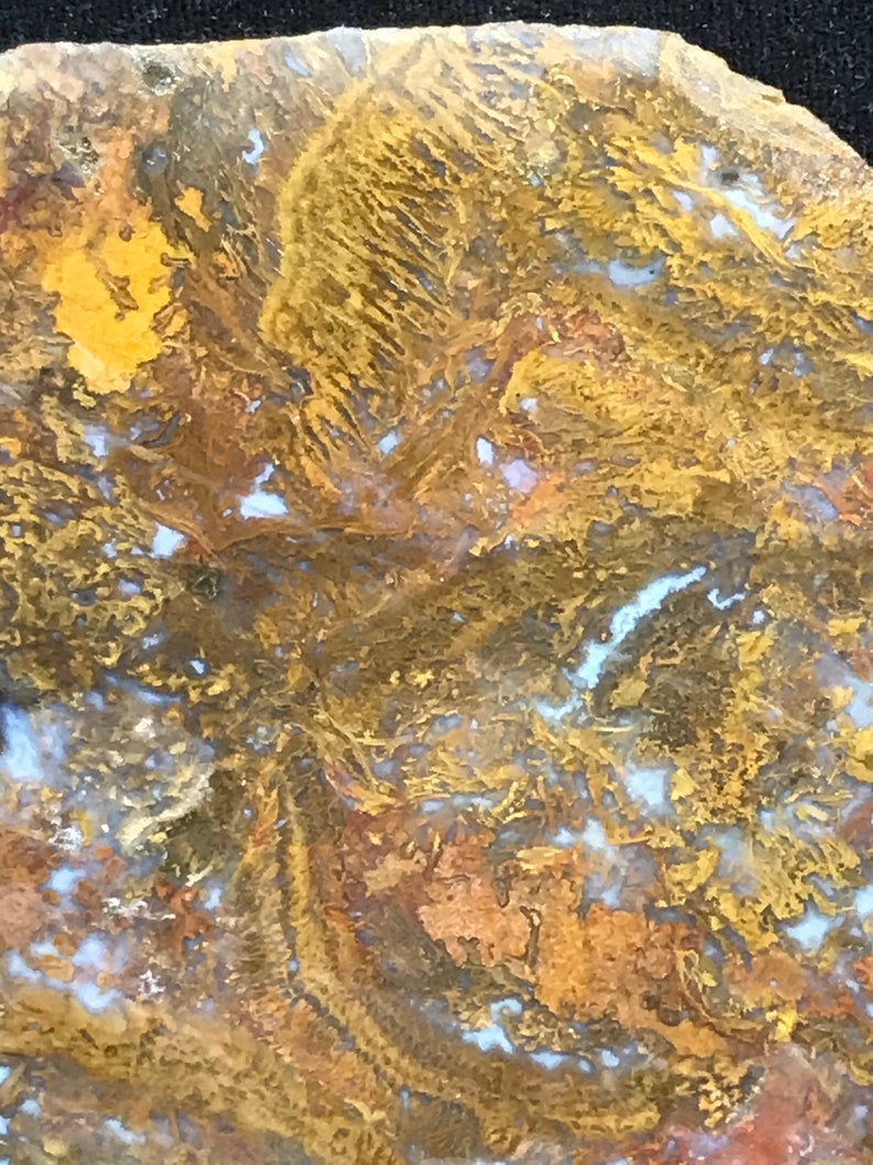 Maury mountain moss agate slab | Etsy