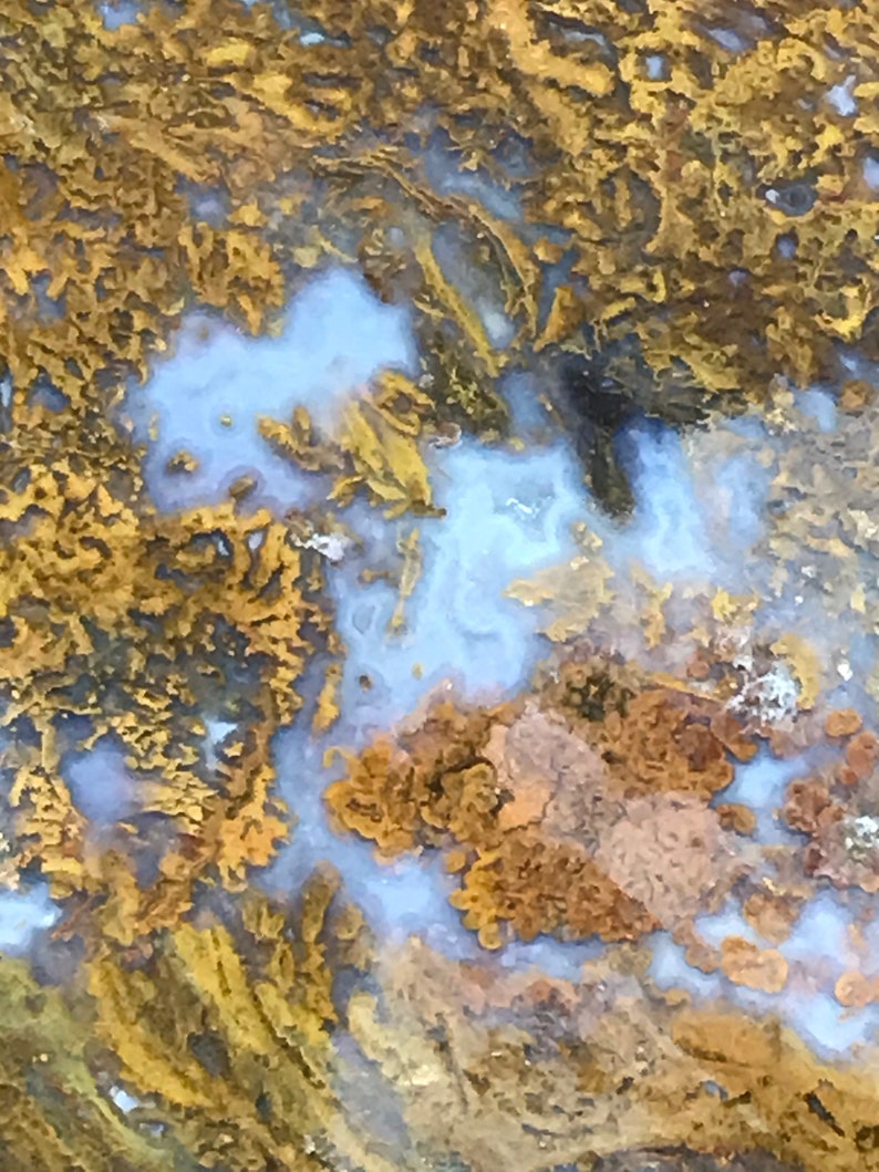 Maury mountain moss agate slab | Etsy