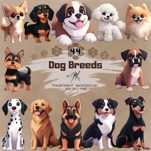 44 Cute Dog Breeds Cliparts, Cute Puppies, PNG, Husky, Pug, French Bulldog, Corgi, Beagle, Golden Retriever, Dachshund, Commercial Use