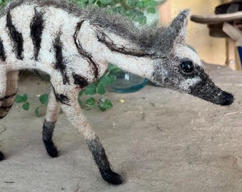 Andy the Aardwolf