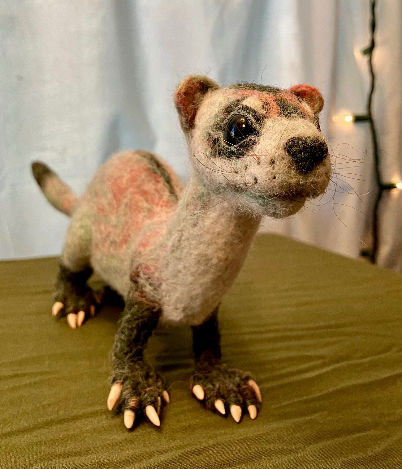 Green Footed Ferret Baby