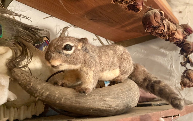 Felted Familiar Rock Squirrel cheapest