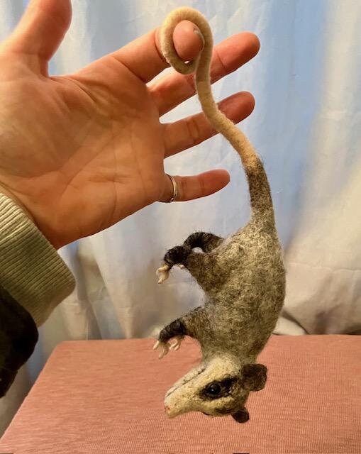 Petal The Baby Opossum
