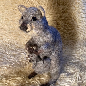 Quokka and Baby