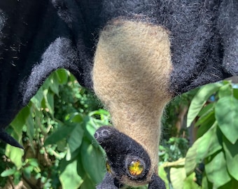 Black and Tan Fruit Bat