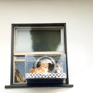 The Purrgola | The Patio for Cats