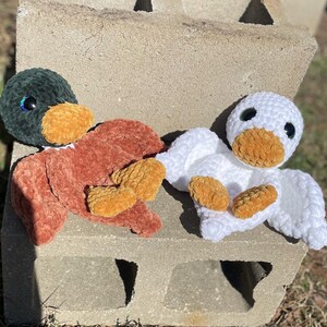 May include: Two crocheted plush duck toys. One duck is brown with a green head and orange beak. The other duck is white with an orange beak. Both ducks have black eyes.
