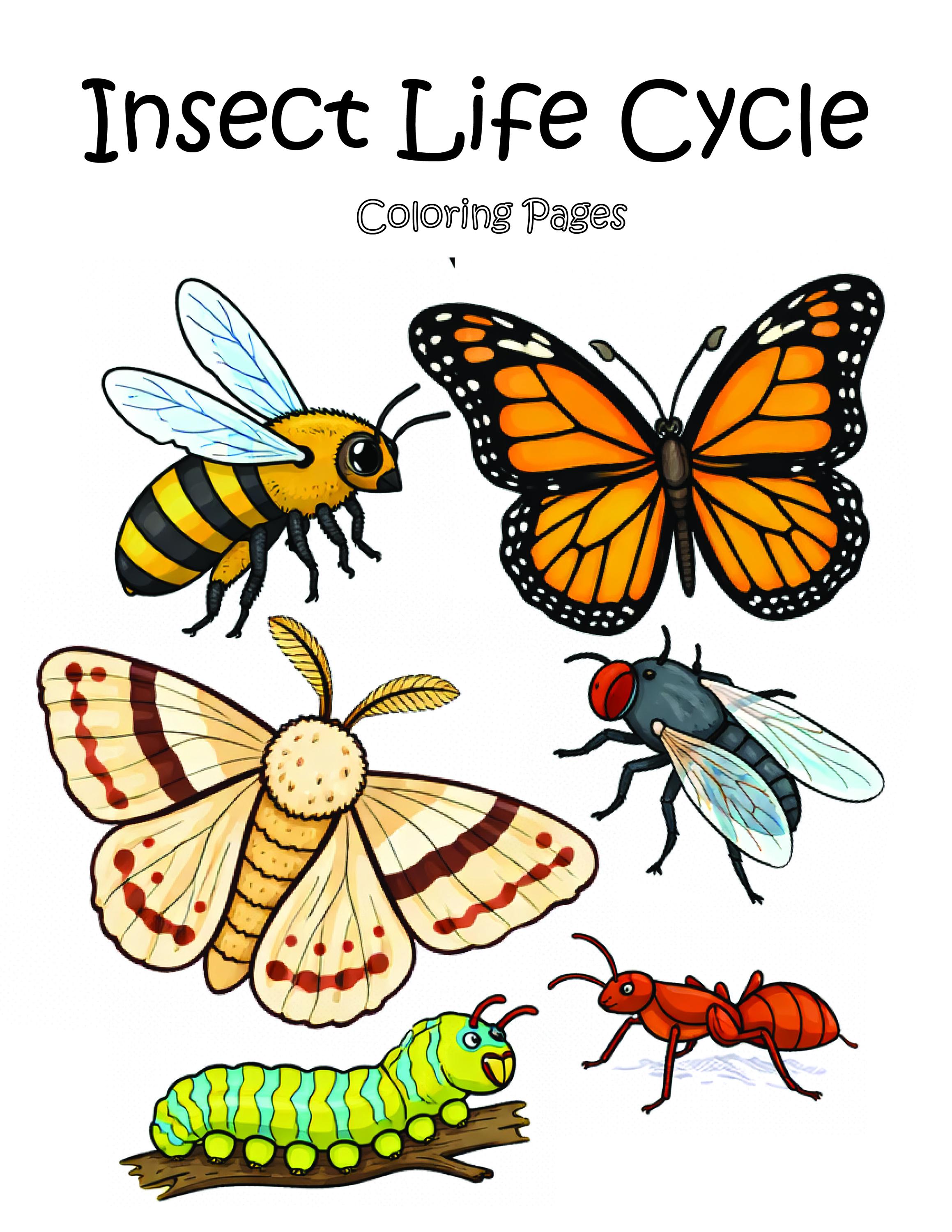 Insect Life Cycle Coloring Pages | Educational Printables (PDF Download ...