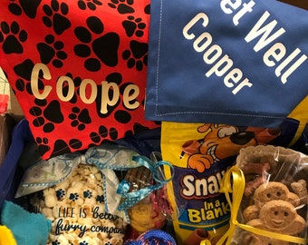 Personalized Sick Dog Gift Box Dog Get Well Basket Dog Care Package Dog Get Well Box Sick Dog Gifts Get Well Dog Treats Dog Get Well Soon