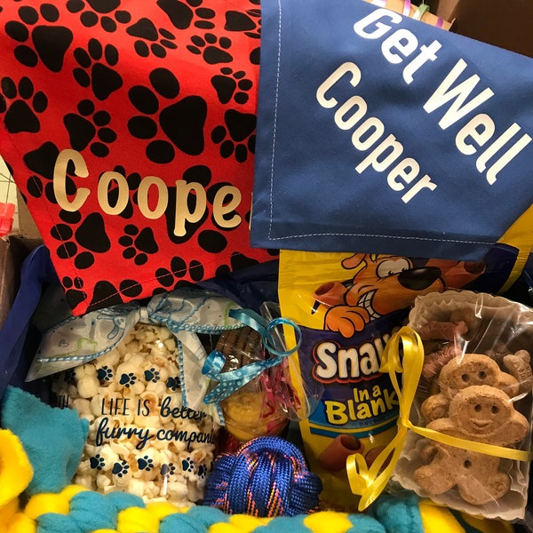 Personalized Get Well Dog Gift Pet Get Well Basket Dog Care Package Dog Get Well Box Sick Dog Gifts Get Well Dog Treats Dog Get Well Soon